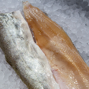 Bild Eismeersaibling Filet